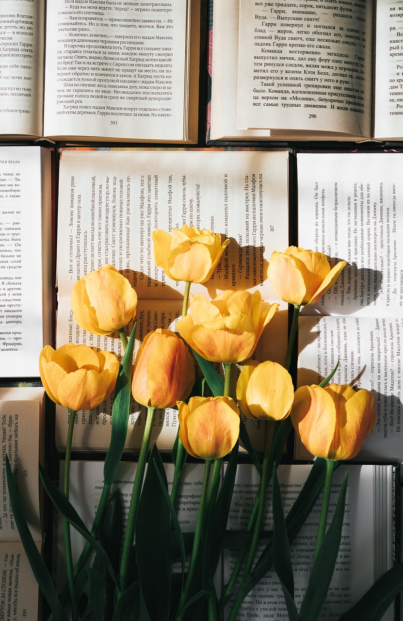 tulips-6255868_1280-Image by Анастасия Белоусова from Pixabay tulips-6255868_1280-Image by Анастасия Белоусова from Pixabay